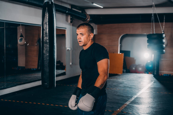 Houkutteleva nuori mies harjoittelu nyrkkeilysäkin vieressä ja nyrkkeilyhanskat kädessä
 - Valokuva, kuva