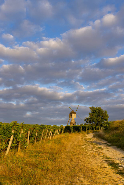Molino de viento de La Tranchee y viñedo cerca de Montsoreau, Pays de la Loire, Francia - Foto, Imagen