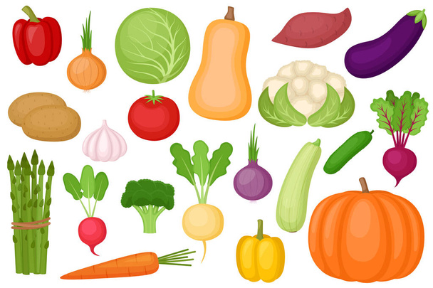Set di verdure fresche mature, illustrazione vettoriale - Vettoriali, immagini