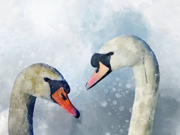 Ilustración en acuarela de dos cisnes blancos sobre fondo blanco. Ilustración de aves. - Foto, Imagen