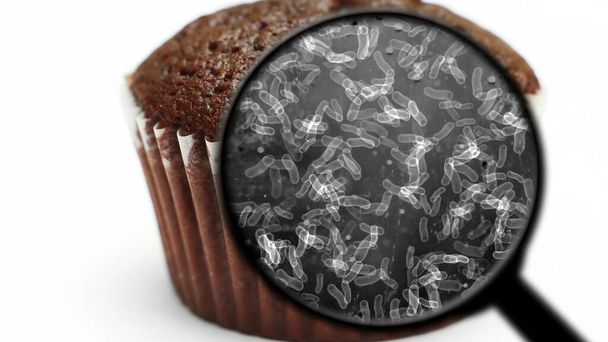 Поиск бактерий в сладостях - Фото, изображение
