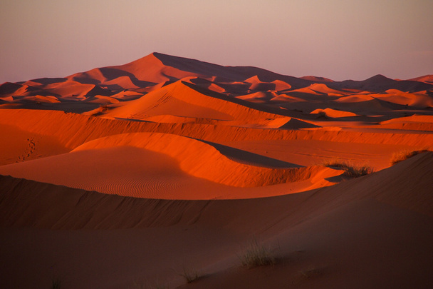 Hiekkadyynit Saharan autiomaassa
 - Valokuva, kuva