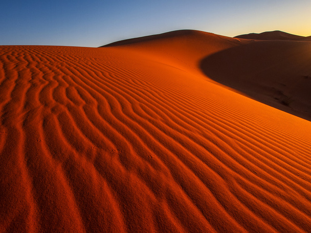 піщані дюни в пустелі Сахара - Фото, зображення