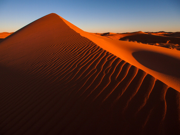 Dunes de sable dans le désert du Sahara
 - Photo, image