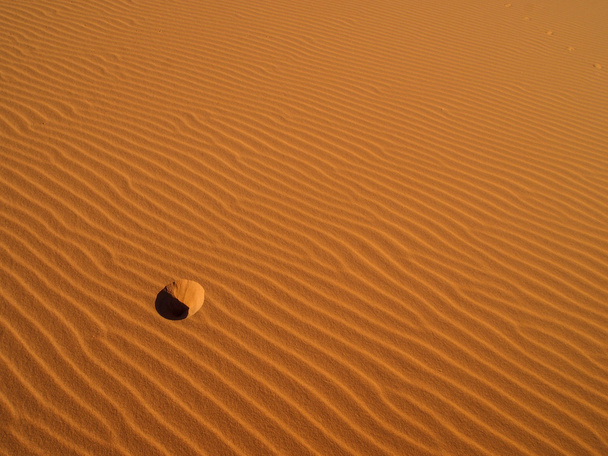 サハラ砂漠の砂丘 - 写真・画像