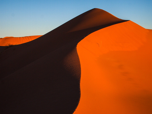 Sand dunes in Sahara Desert - Photo, Image