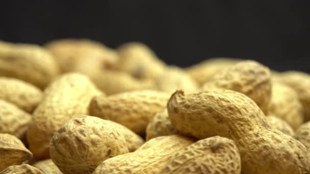 Cacahuetes molidos giran como fondo, cacahuetes en cáscaras, nueces molidas - Metraje, vídeo