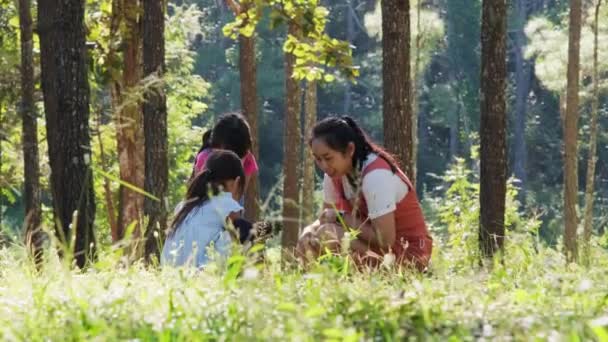 Мать и две дочери занимаются вместе в лагере в лесу. Семейный кемпинг, проводить время вместе в отпуске. - Кадры, видео