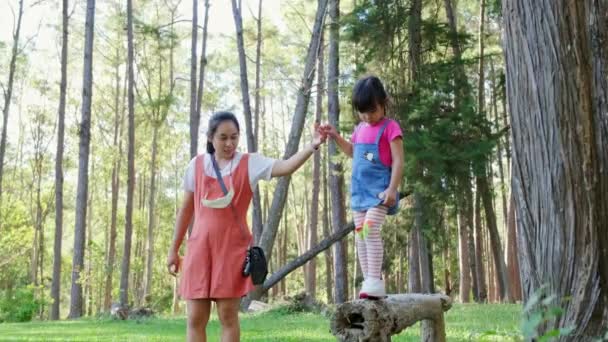 Linda niñita tratando de caminar sobre un tronco en el parque. Un niño llorando en una viga de equilibrio. El juego es aprender en la infancia. - Imágenes, Vídeo