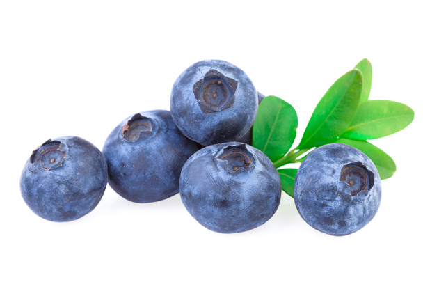 Blueberries isolated - Photo, Image