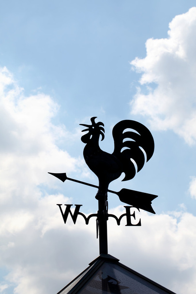 Signo de polla viento
 - Foto, imagen