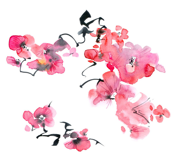 Υδατογραφία και μελάνι απεικόνιση του άνθους sakura - κλαδί με ροζ λουλούδια και μπουμπούκια. Oriental παραδοσιακή ζωγραφική σε στυλ sumi-e, u-sin και gohua. - Φωτογραφία, εικόνα