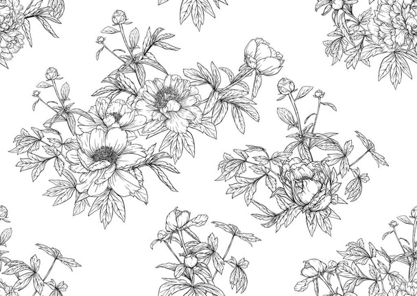 Peonies flowers. Seamless pattern, background. Outline hand drawing vector  - Vetor, Imagem