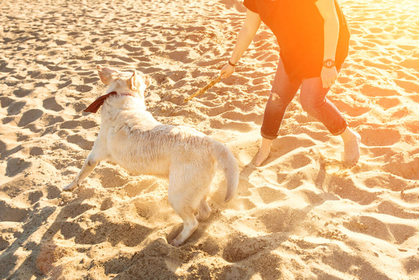 Portret van een jonge mooie vrouw in een zonnebril zittend op zandstrand met golden retriever hond. Meisje met hond aan zee. Zonnevlam - Foto, afbeelding