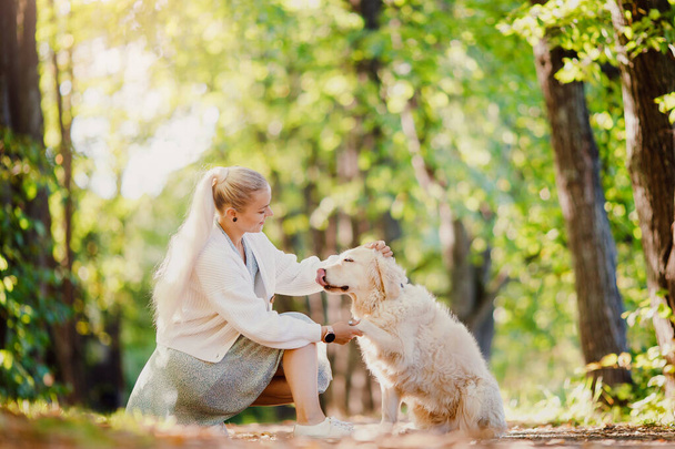 Perro dame pata, mujer dueña de entrenamiento y golden retriever en el parque de otoño - Foto, imagen