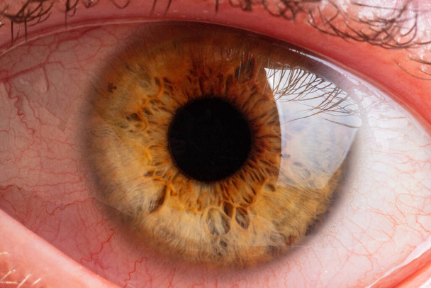 human pupil of brown color close up - Photo, Image