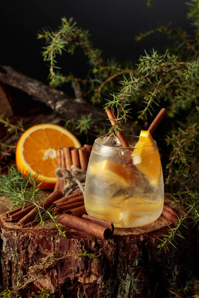 Gin and Tonic cocktail with orange and cinnamon. - Photo, Image