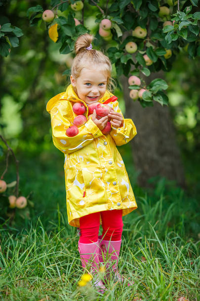 Little girl in the apple garden - Photo, image