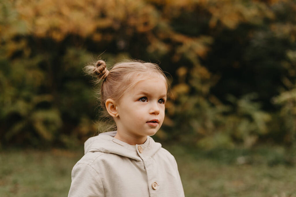 Autumnal mood. Portrait of a little cute girl walking in the autumn park - Photo, Image
