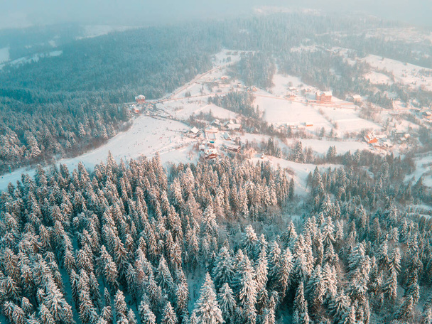 aerial view of zveniv village ski hill winter season - Foto, afbeelding