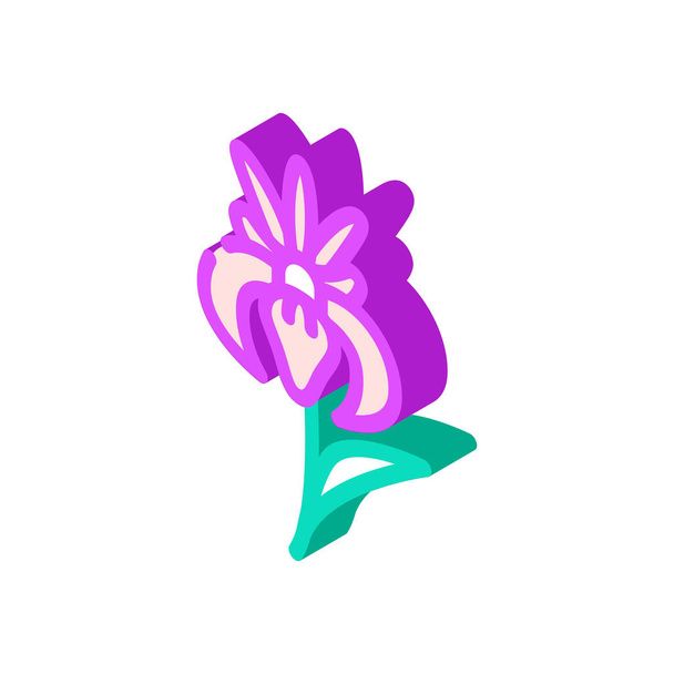 iris flower isometric icon vector. iris flower sign. isolated symbol illustration - Vector, Image