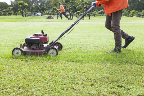 işçi kesme çim alan çim biçme makinesi ile - Fotoğraf, Görsel