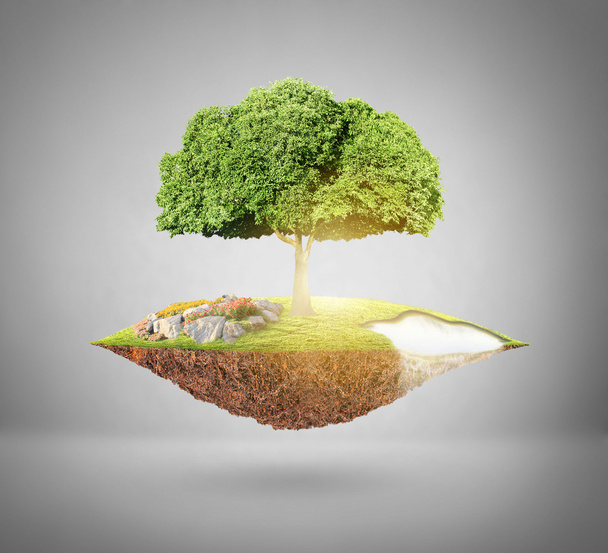 planeet aarde en boom - Foto, afbeelding