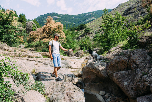 Propriétaire mâle de chien d'épagneul marchant contre les montagnes et les chutes d'eau fond. - Photo, image