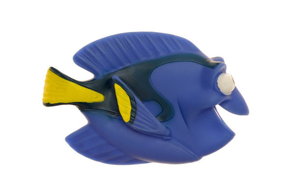 Tropical Toy Fish - Photo, Image