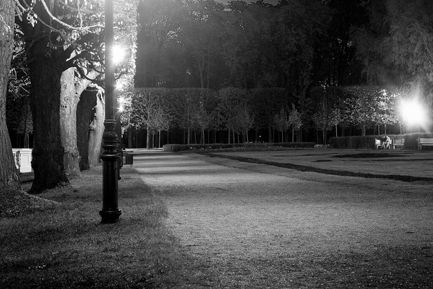 Una noche tranquila en el parque Kadriorg en Tallin, Estonia. Una noche perfecta para un abrazo en el banco. - Foto, Imagen