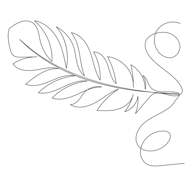 bird feather drawing by one continuous line - Vector, Image
