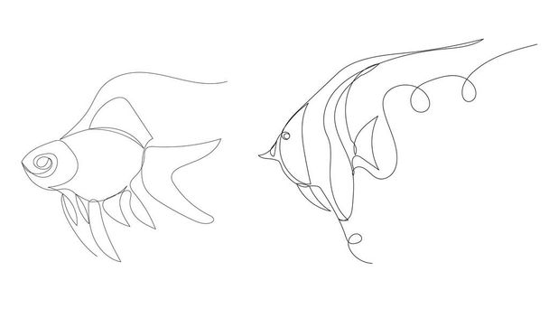 peces nadan dibujo por una línea continua, vector, aislado - Vector, Imagen