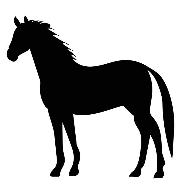 horse, black silhouette, vector, isolated - Вектор,изображение