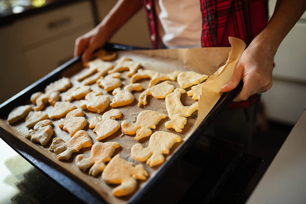 hands of unrecognizable teenager insert baking sheet of parchment of animal-shaped cookies into oven. Cooking at home. Hobbies, leisure activities,  - Valokuva, kuva