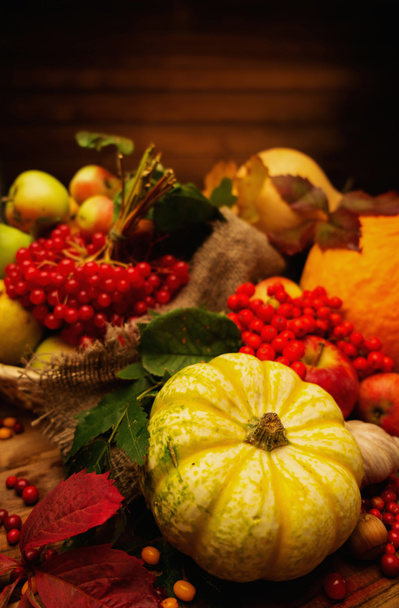 jesienny Dzień Dziękczynienia martwa - Zdjęcie, obraz
