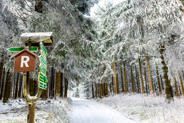 Oberhof yakınlarındaki Thuringian Ormanı 'nın tepelerinde güzel bir kış manzarası. - Fotoğraf, Görsel