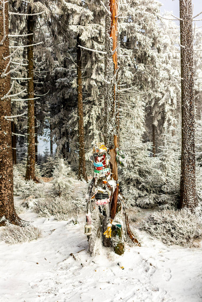 Bela paisagem de inverno nas alturas da Floresta Turíngia perto de Oberhof - Turíngia - Foto, Imagem