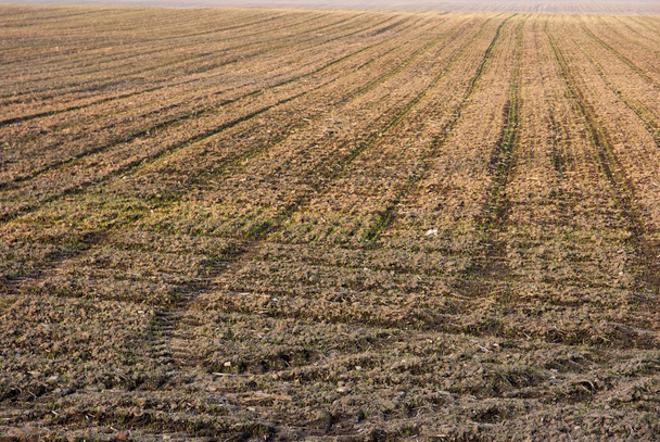 Field soil - Φωτογραφία, εικόνα