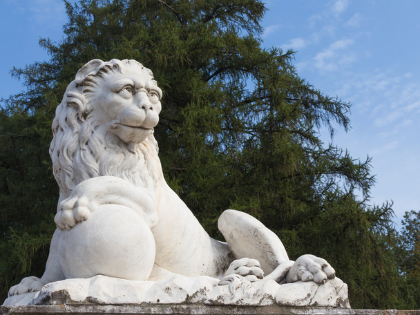 lion sculpture  - Φωτογραφία, εικόνα