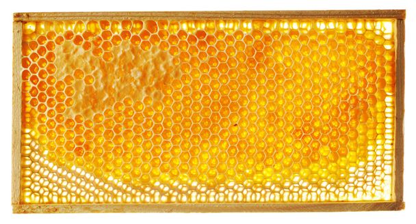 Honeycomb background - Foto, afbeelding