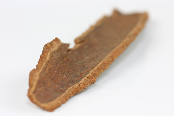 Cinnamon Stick - Foto, imagen
