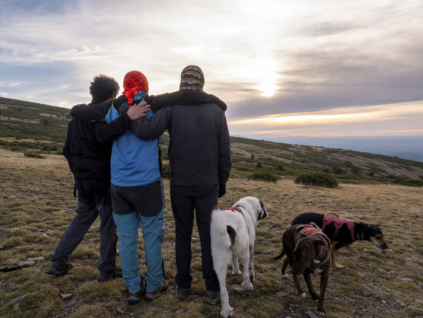 A rear view of 3 hikers with their dogs enjoying a beautiful sunset view over the mountains - Фото, изображение