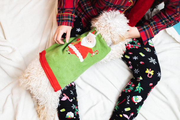 A closeup shot of a person in cozy pajamas petting a dog in a cute Christmas outfit on a bed - 写真・画像
