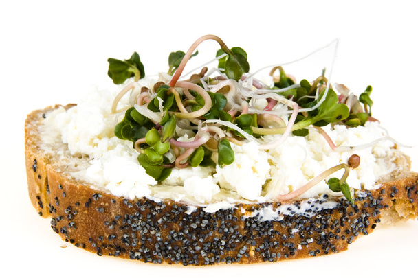 A slice of bread with poppy seeds, with cottage cheese and radish sprouts - Photo, Image