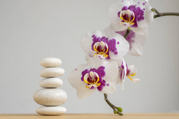 Stack of bright white stones built in tower isolated on white background with white purple orchid flower on long green stem - Photo, image