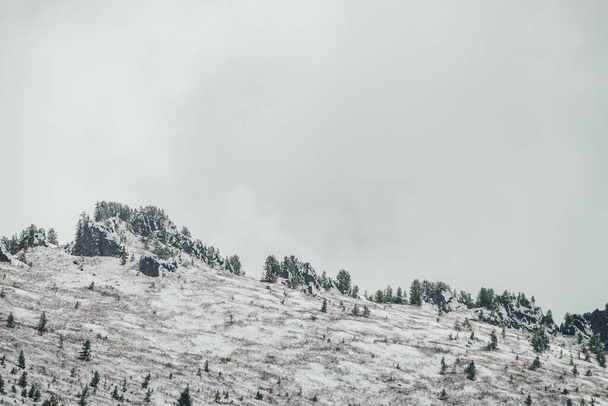 Χειμερινό τοπίο με χιονισμένο βουνό με κωνοφόρα δάση και μυτερή κορυφή με δέντρα στην κορυφή σε ομίχλη. Ατμοσφαιρικό αλπικό τοπίο με έλατα στην πλαγιά του λόφου. Βρύσες σε χιονισμένο βουνό και κοφτερά βράχια. - Φωτογραφία, εικόνα
