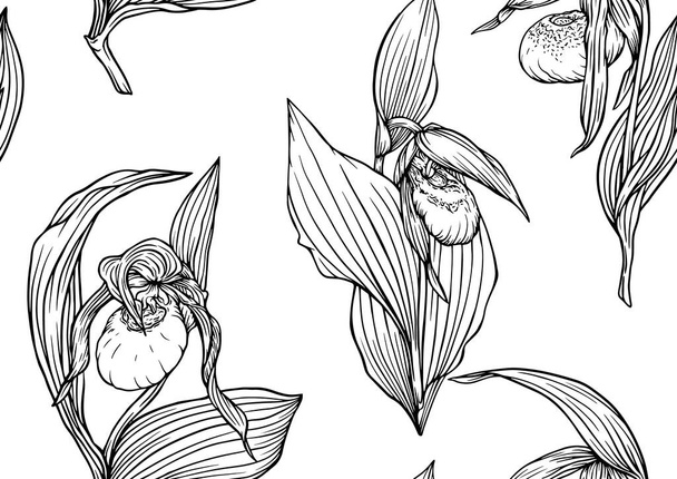 Ladys slipper orchid, Cypripedioideae, Seamless pattern, background.  - Vector, imagen