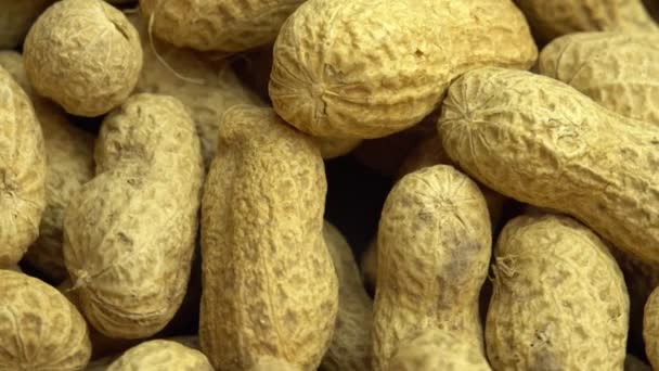 Maapähkinät pyörivät taustalla, maapähkinät kuorissa, maapähkinät - Materiaali, video