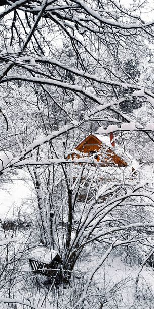 Casa de madeira visível através da floresta de inverno - Foto, Imagem