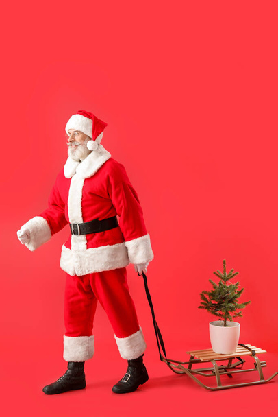 Santa Claus with sled and Christmas tree on color background - Φωτογραφία, εικόνα